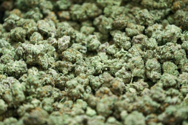 Canada’s Cannabis Store for Secure Online Orders and Quality Products
