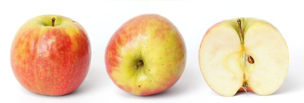 Apple fitness tracker: The Best Smart Solution for Your Health