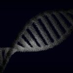 genetic code discovery
