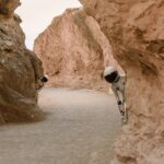 Mars moon mission
